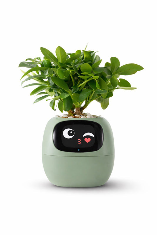MOODORA™ MoodBloom-Joy Planter