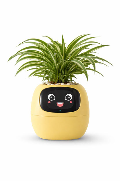 MOODORA™ MoodBloom-Joy Planter