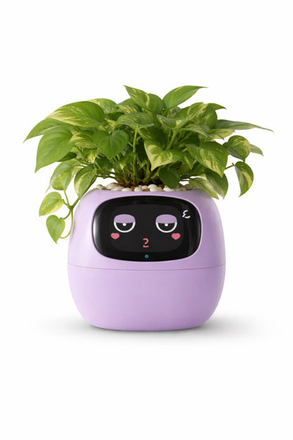 MOODORA™ MoodBloom-Joy Planter