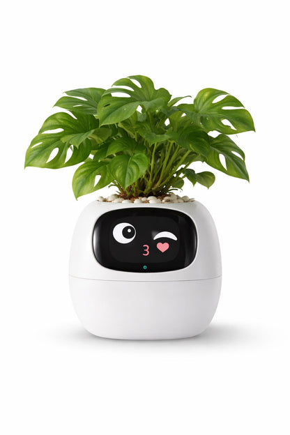 MOODORA™ MoodBloom-Joy Planter